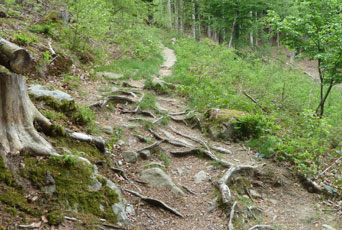 Trinkwassertalsperre Frauenau