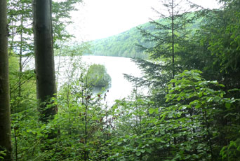 Trinkwassertalsperre Frauenau