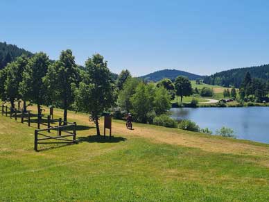 Frauenwieserteich