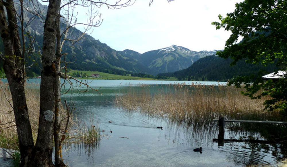 Rad und Wanderweg um den Haldensee 
