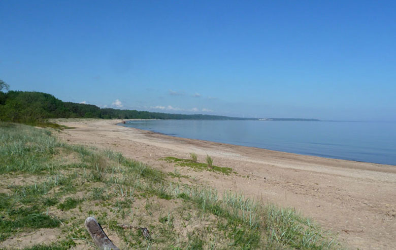 Liimala