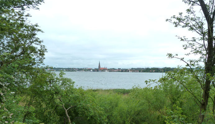 Radweg um die Schlei in Schleswig