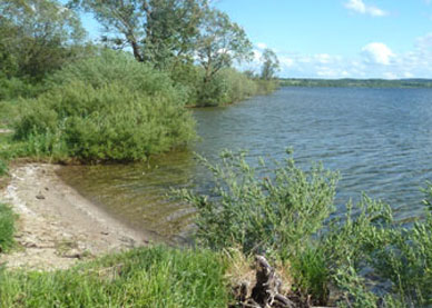 Wystiter See