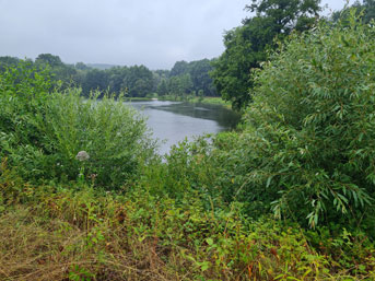 Waldsee Mengerskirchen 