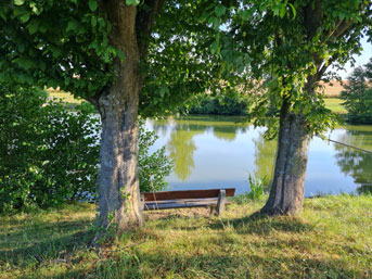 Badesee Weldingsfelden